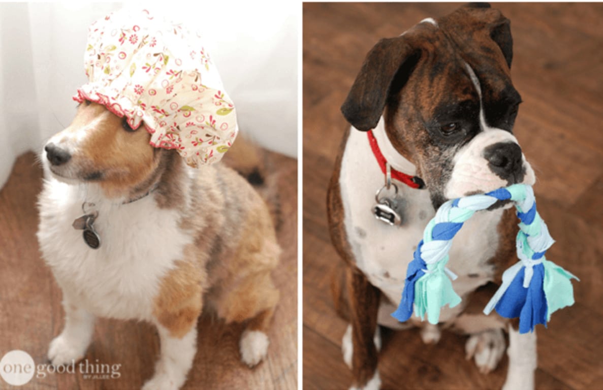 imgonline-com-ua-Resize-uxInA2S443o