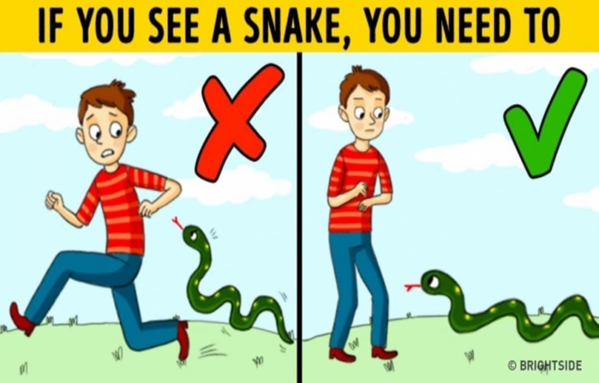 imgonline-com-ua-Resize-89wY4M4DSuKV