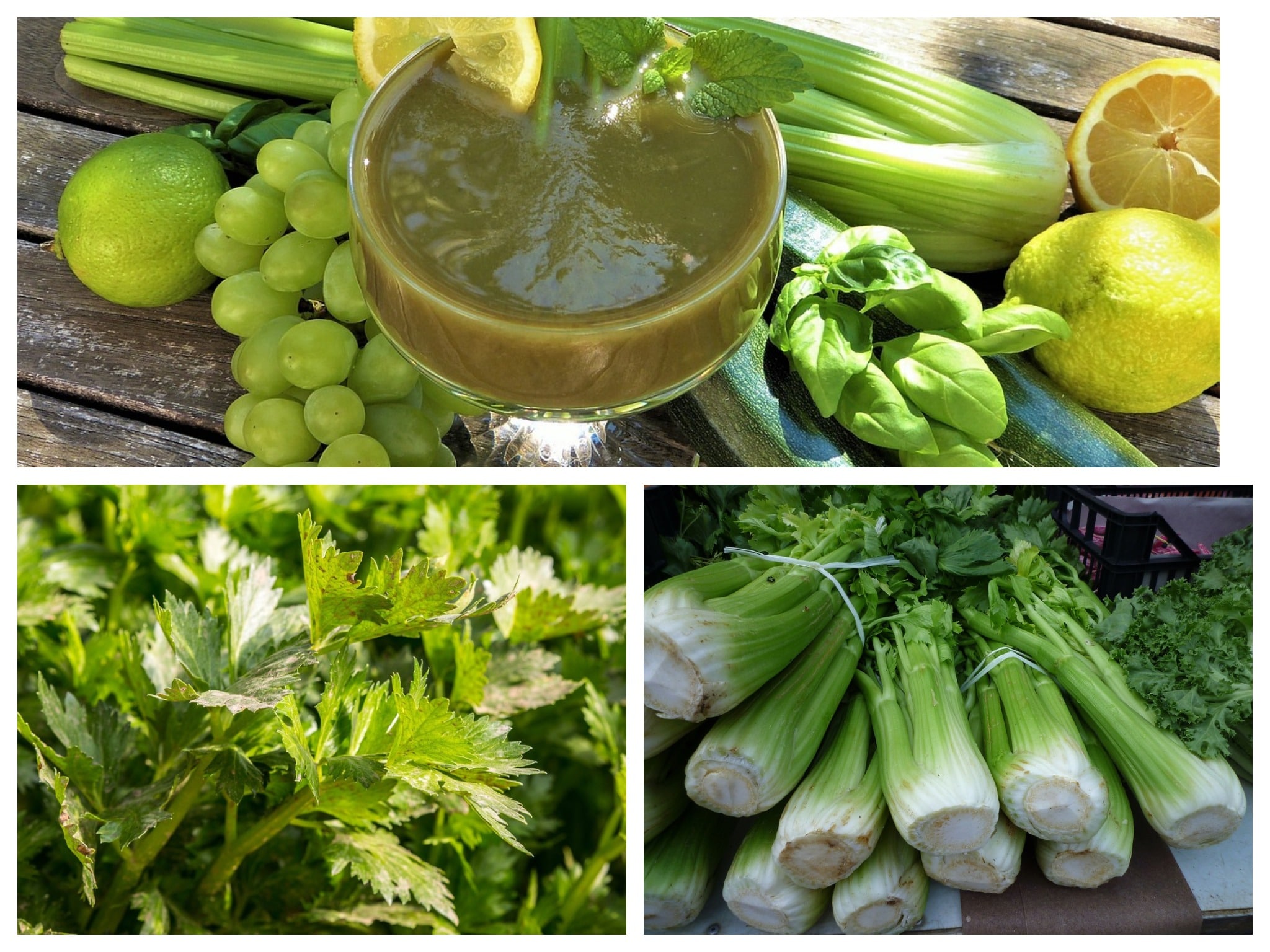 If You Eat Celery for a Week, This Might Happen to Your Body