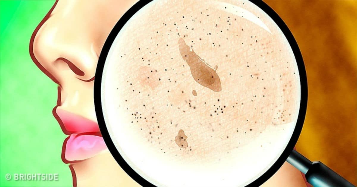 21799510-40858960-1-0-1523534879-1523610524-1260-1-1523610524-728-6f9081b3ae-1523611193