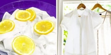 BeFunky-collage 21102018 BeFunky-collage