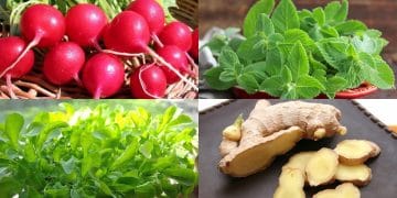 cover 25102018 cover