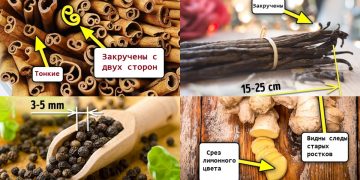 cover 28102018 cover