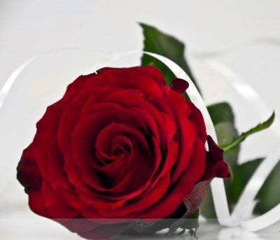 Как выбрать бриллиант? - sun-hands.ru