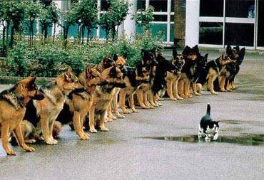 Как избавиться от внутренней неуверенности в себе? (Часть 1) - sun-hands.ru