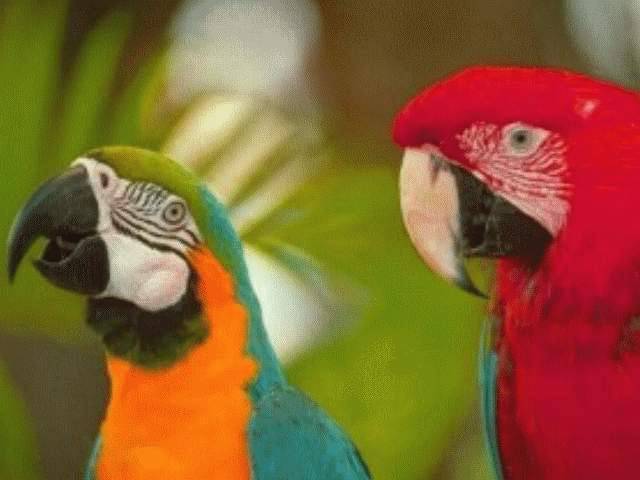 Энергетические вампиры - sun-hands.ru