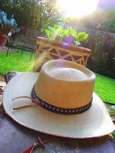 Чем заняться в выходные? - sun-hands.ru