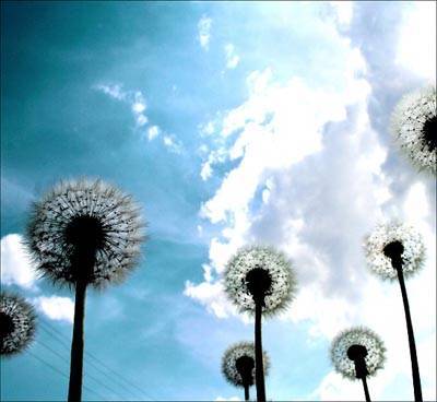 Жизнь как чудо - sun-hands.ru