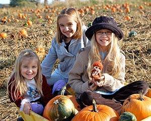 Тыква, чем она полезна? - sun-hands.ru