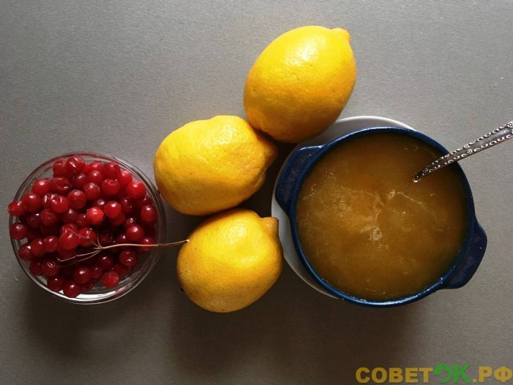 Лимонно-калиновый витамин для укрепления иммунитета - sovetok.ru