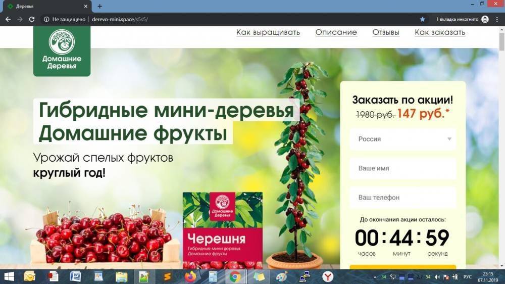 Гибридные мини-деревья - Домашние фрукты - Развод - sovetok.ru