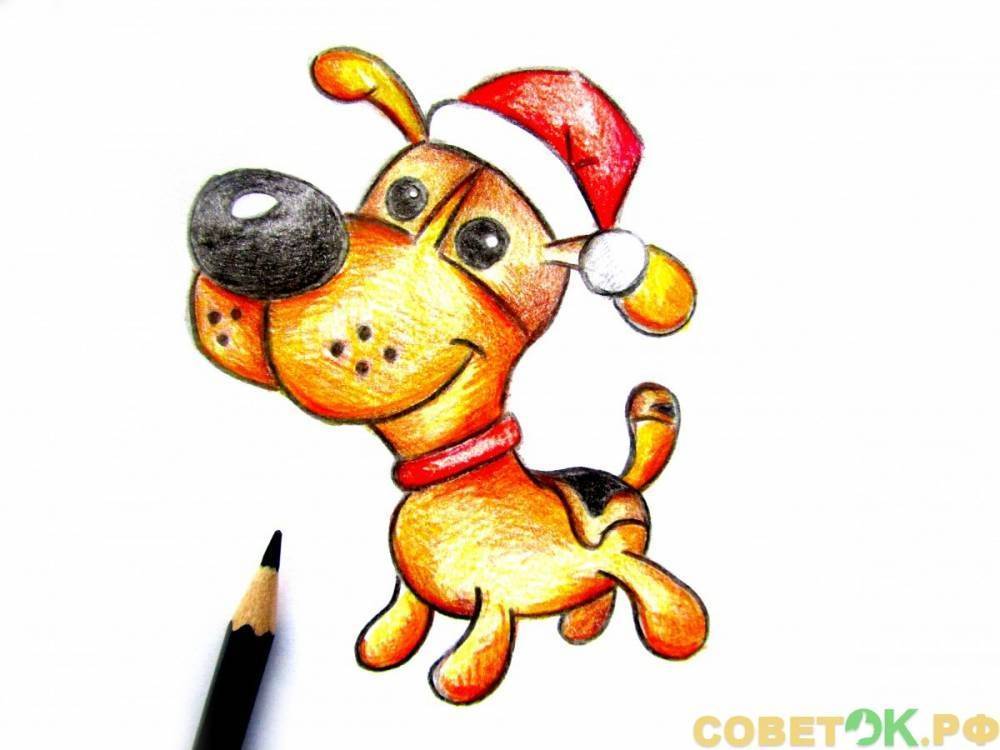 Как поэтапно нарисовать собаку. Новый год - sovetok.ru