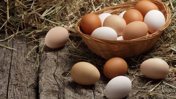 Как выбрать качественные куриные яйца в магазине и на рынке - sovetnika.net