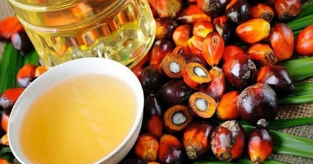 Не только растительное: 9 видов масла, которые можно использовать для готовки - novate.ru