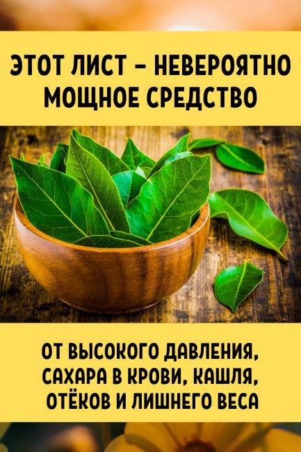 Этот лист — невероятно мощное средство от высокого давления, сахара в крови, кашля, отёков и лишнего веса! - liveinternet.ru