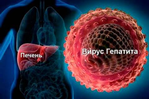 Софосбувир для лечения гепатита С в Украине и современные препараты на его основе - epochtimes.com.ua - Украина
