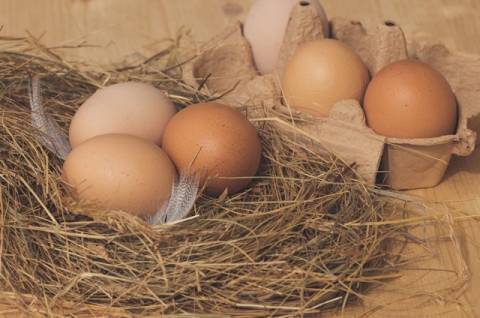 Сколько могут храниться яйца и как проверить их свежесть - epochtimes.com.ua