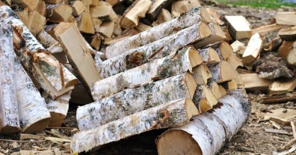 Почему одни дрова дают больше тепла, чем другие: как выбрать правильные - novate.ru