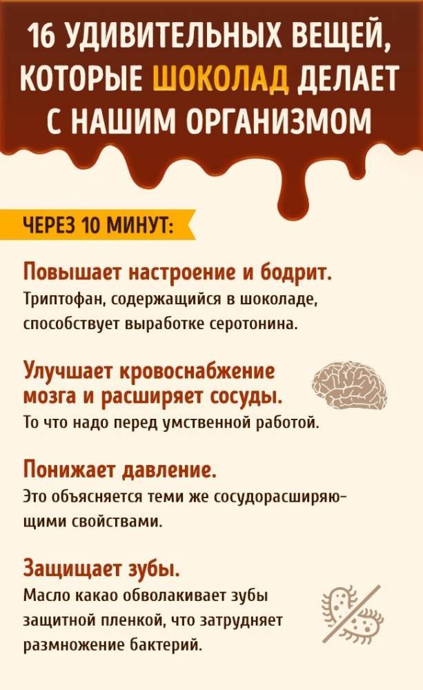 Кушайте шоколад, дорогие друзья - liveinternet.ru