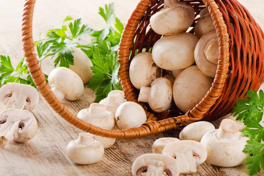 По этому рецепту грибы в духовке получаются вкуснее чем на мангале, получается очень сочно - zen.yandex.ru
