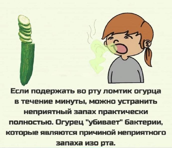 Как с помощью огурца убрать неприятный запах изо рта - polsov.com