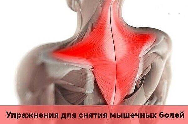 ​Мышечные зажимы шеи и спины: снятие боли изменением позы - polsov.com