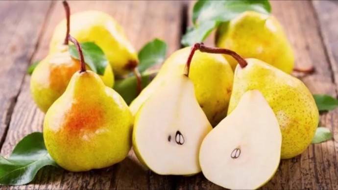 Обыкновенная груша как антибиотик - polsov.com