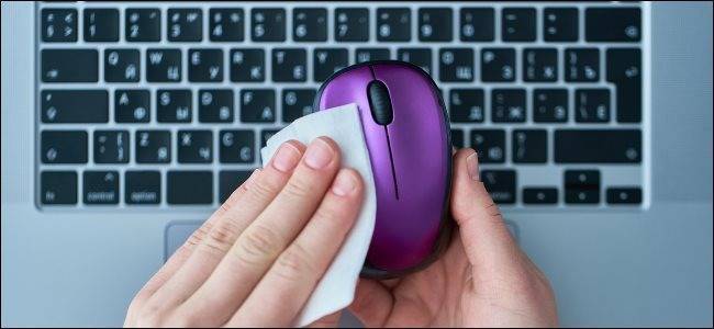 Чистота — залог здоровья: как правильно продезинфицировать мышку и клавиатуру - bigpicture.ru
