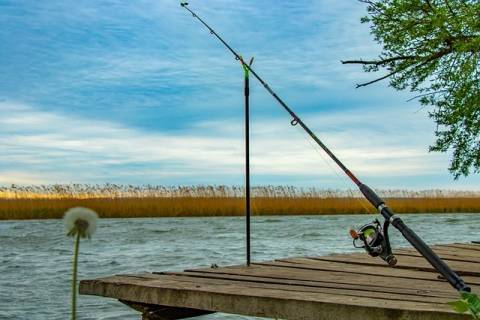 Удилище для всех видов рыбалки от интернет-магазина Fishingroi - epochtimes.com.ua