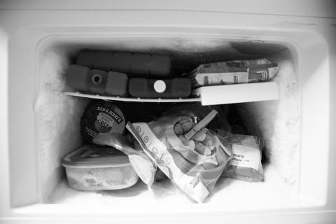 Как долго хранятся замороженные продукты? - epochtimes.com.ua - Сша