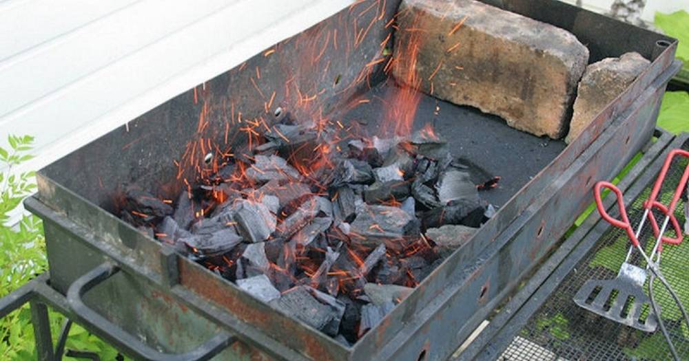 Без розжига, горелки и бумаги: как быстро и равномерно зажечь угли в мангале - novate.ru