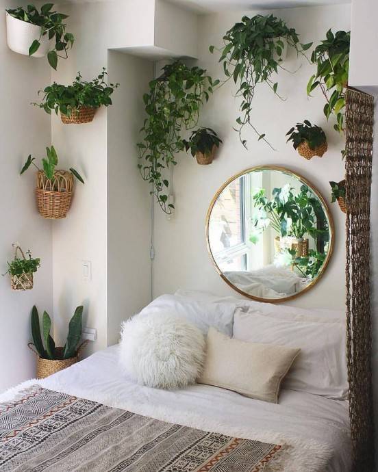 9 лучших комнатных растений для спальни - polsov.com