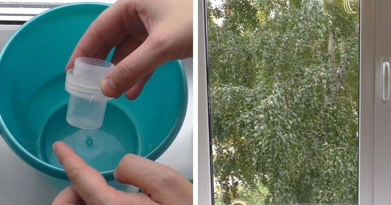 Простой и действенный способ отмыть окна до блеска - cpykami.ru