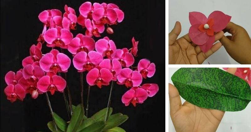 Ненужные пакеты мастерицы переделывают в чудесные орхидеи - cpykami.ru