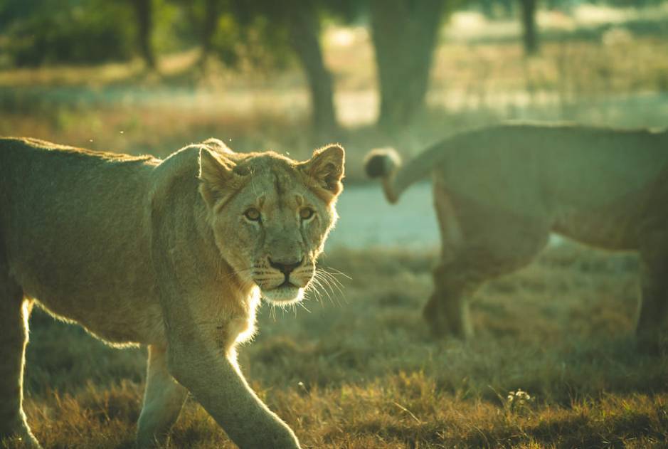 20 лучших фотографий недели - flytothesky.ru