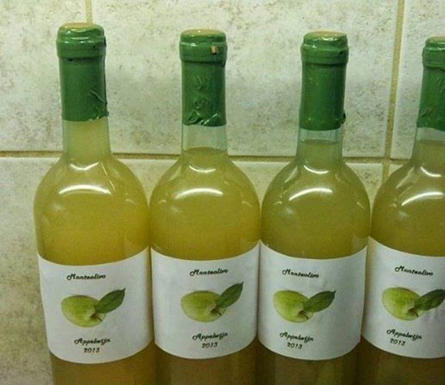 Яблочное вино в домашних условиях своими руками - hitrostigizni.ru