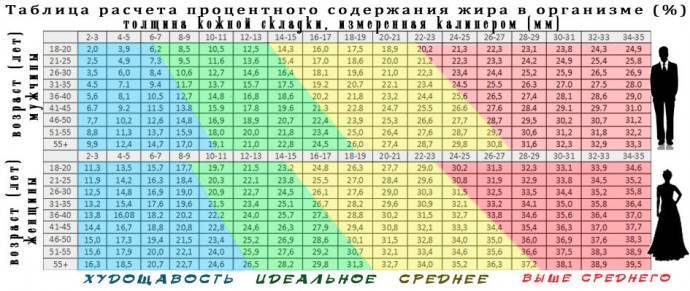 ​Как измерить количество жира в организме - polsov.com