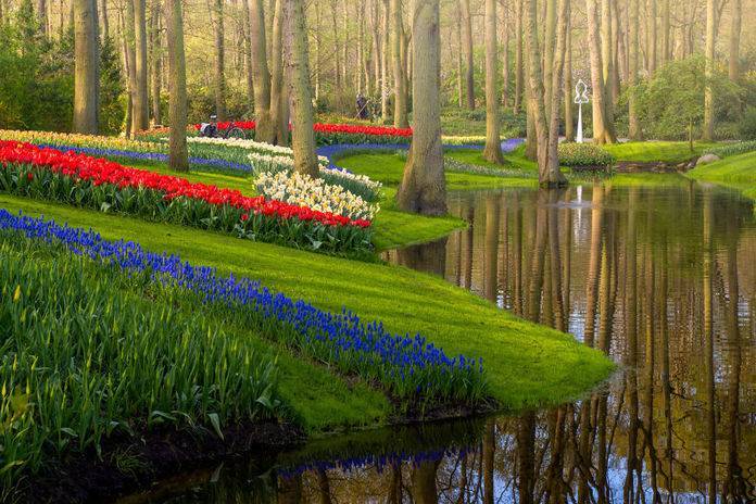 Фотограф запечатлел красоту королевского парка цветов, который временно пустует - flytothesky.ru