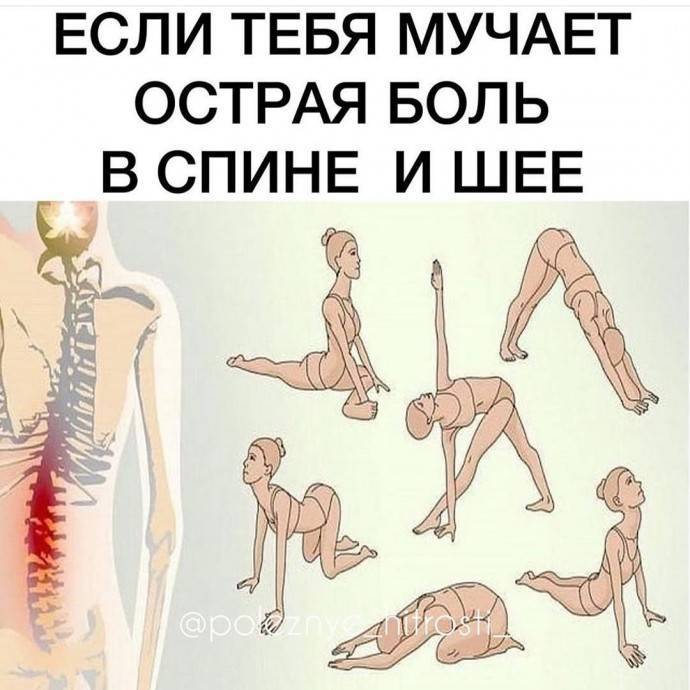 ​Зарядка, спасающая при острой боли в шее или спине - polsov.com