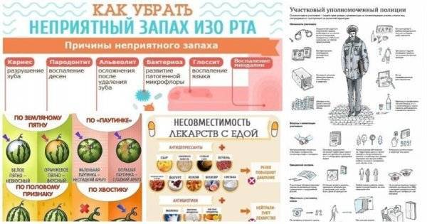 20 ШПАРГАЛОК О ВСЯКОМ-РАЗНОМ - liveinternet.ru