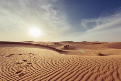 Тест: Какие у вас шансы выжить в жаркой пустыне? - flytothesky.ru