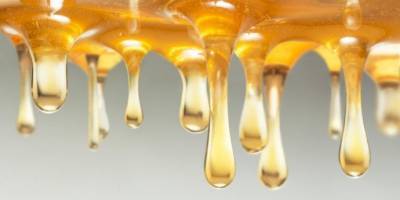 ​Как быстро избавиться от насморка и кашля с помощью медовых капель и других безвредных продуктов - polsov.com