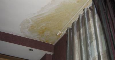 Как отбелить желтые пятна на потолке, если соседи затопили квартиру - novate.ru