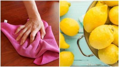 Как надолго избавиться от пыли с помощью лимонной тряпки - novate.ru