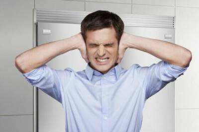 Как заставить холодильник работать тихо: 4 причины появления шума и способы их устранения - novate.ru