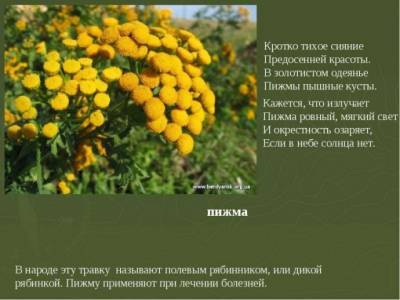 Полезные советы садоводу - polsov.com