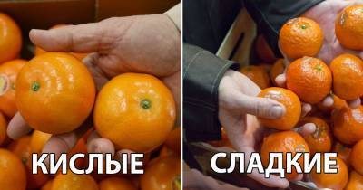 Кислый или сладкий: как узнать вкус мандаринов еще на прилавке - novate.ru
