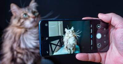 6 правил, которые помогут сделать отличный портрет на камеру телефона - bigpicture.ru