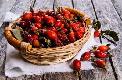 Чем полезны плоды шиповника и что можно из них приготовить? - shkolazhizni.ru