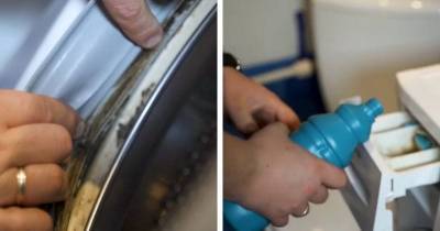 Запах в стиральной машинке — явный признак, что её пора чистить - cpykami.ru
